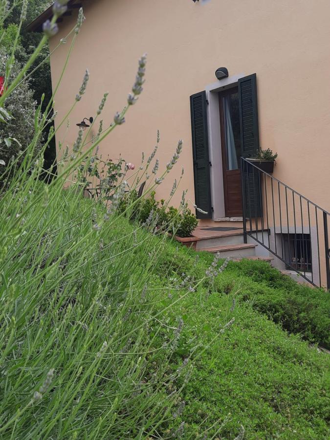 Agriturismo Il Truffarello TODI Villa Esterno foto