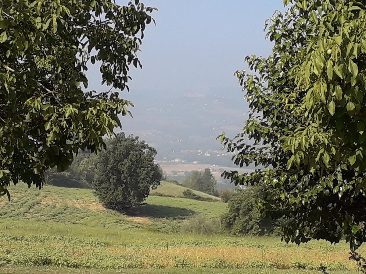 Agriturismo Il Truffarello TODI Villa Esterno foto